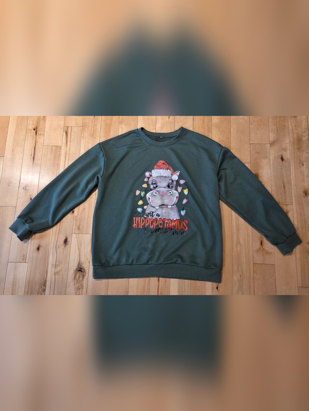 NEW 'I Want a Hippopotamus For Christmas' Sweatshirt (XL)